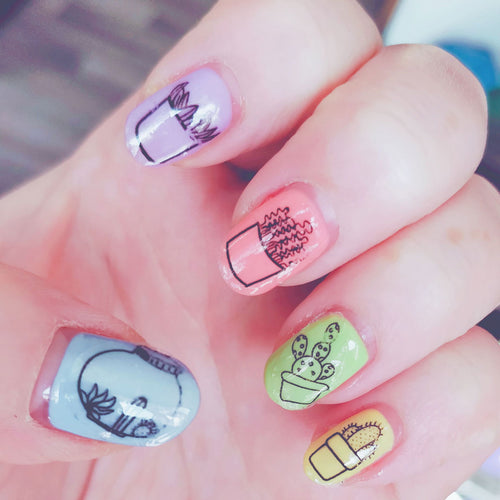 Cacti and Succulents Waterslide Nail Decals - Fay Dixon Design