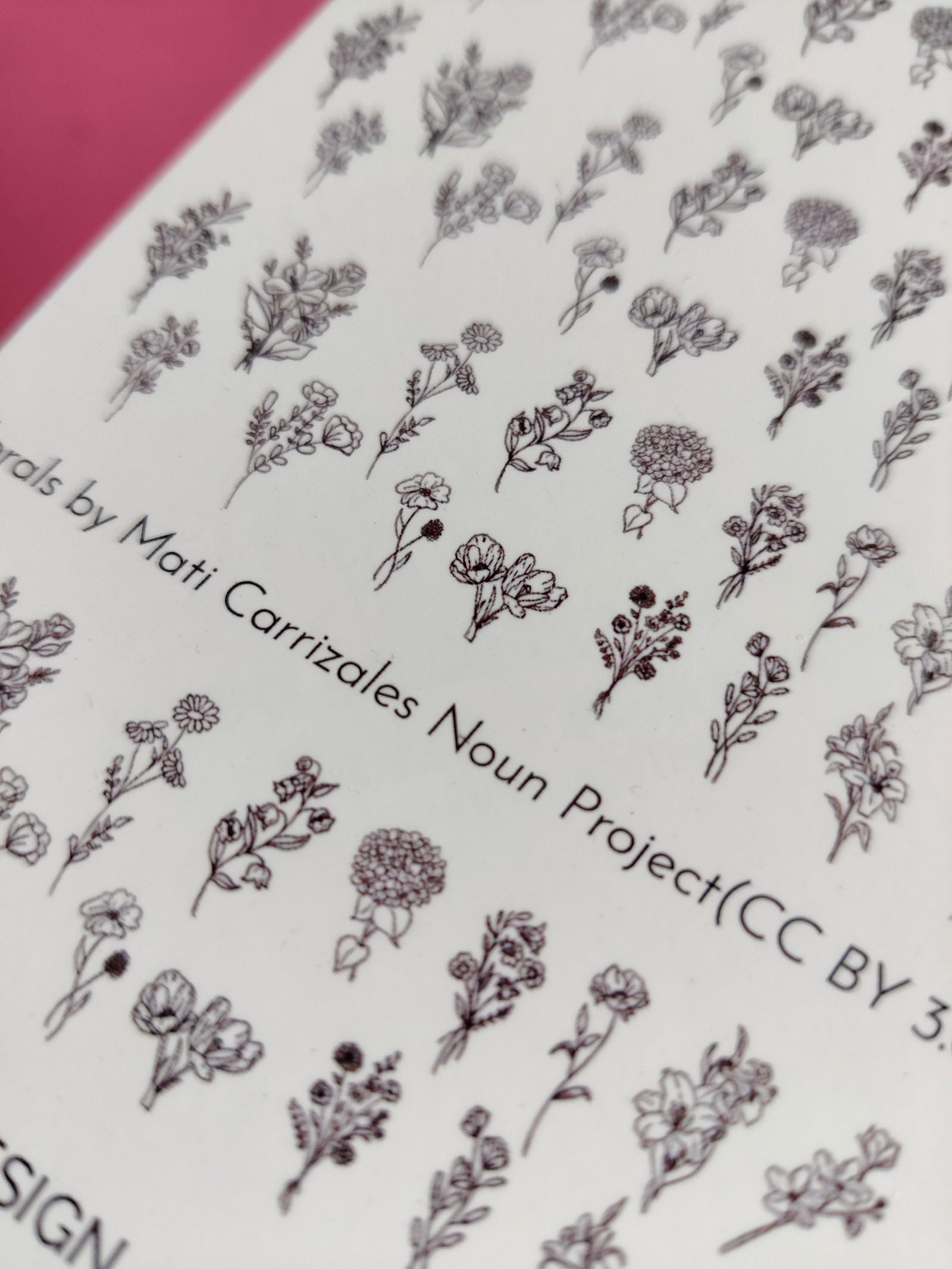 Floral Line Drawing Waterslide Nail Decals - Fay Dixon Design