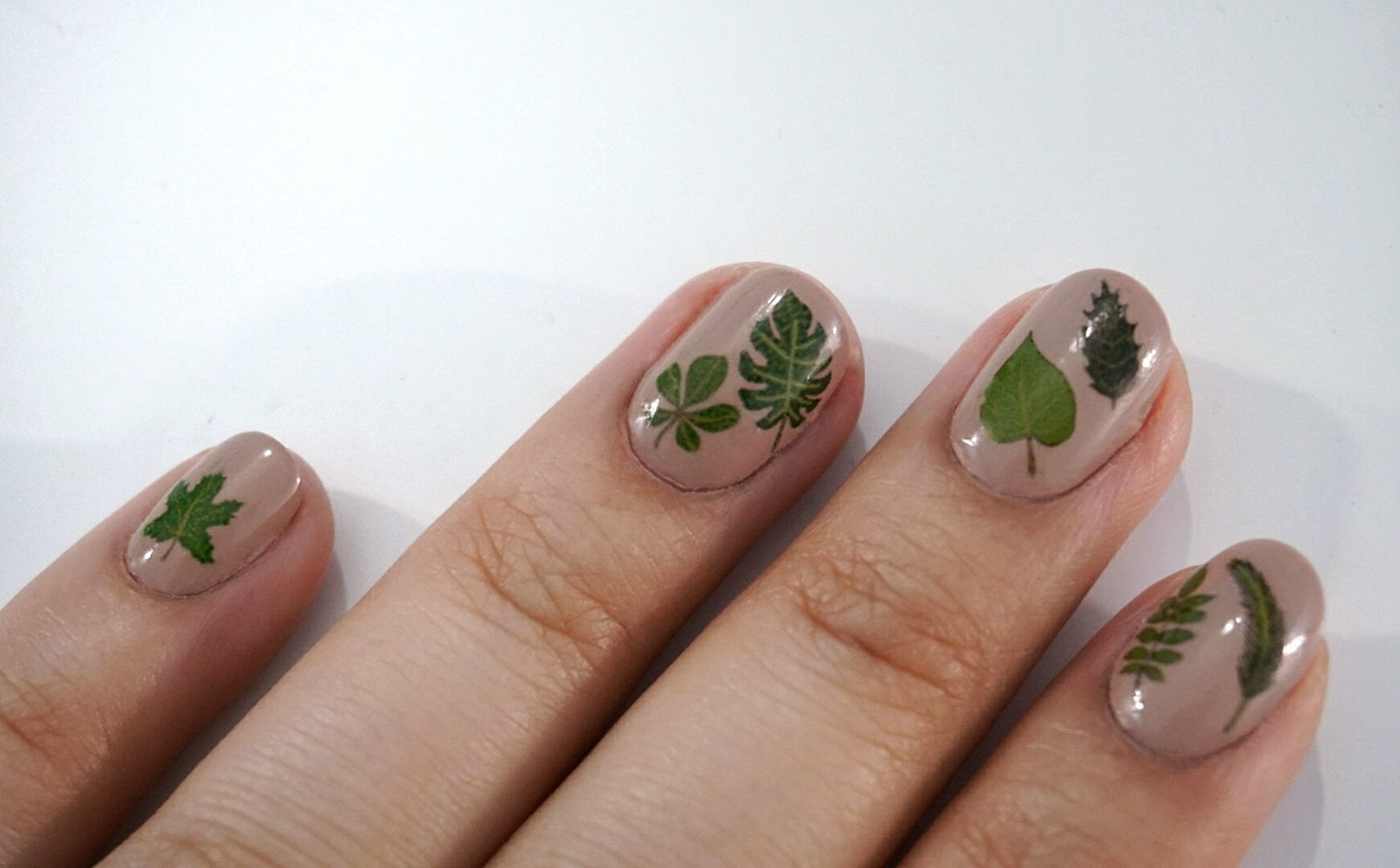 Leaves and Greenery Waterslide Nail Decals - Fay Dixon Design