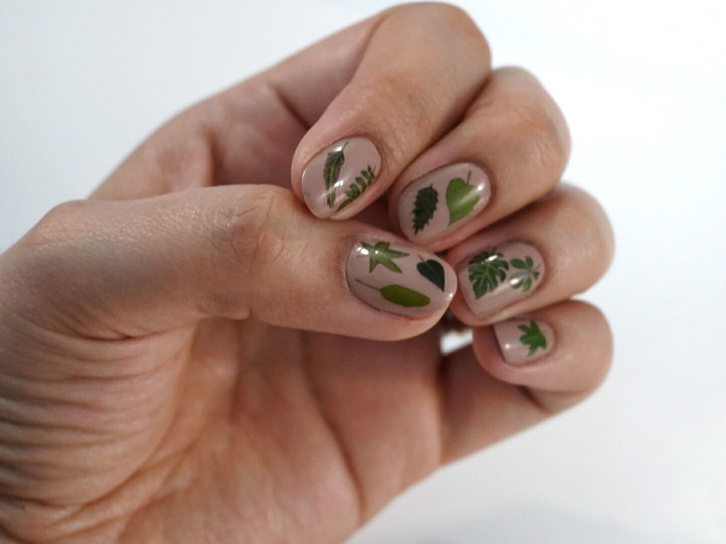 Leaves and Greenery Waterslide Nail Decals - Fay Dixon Design