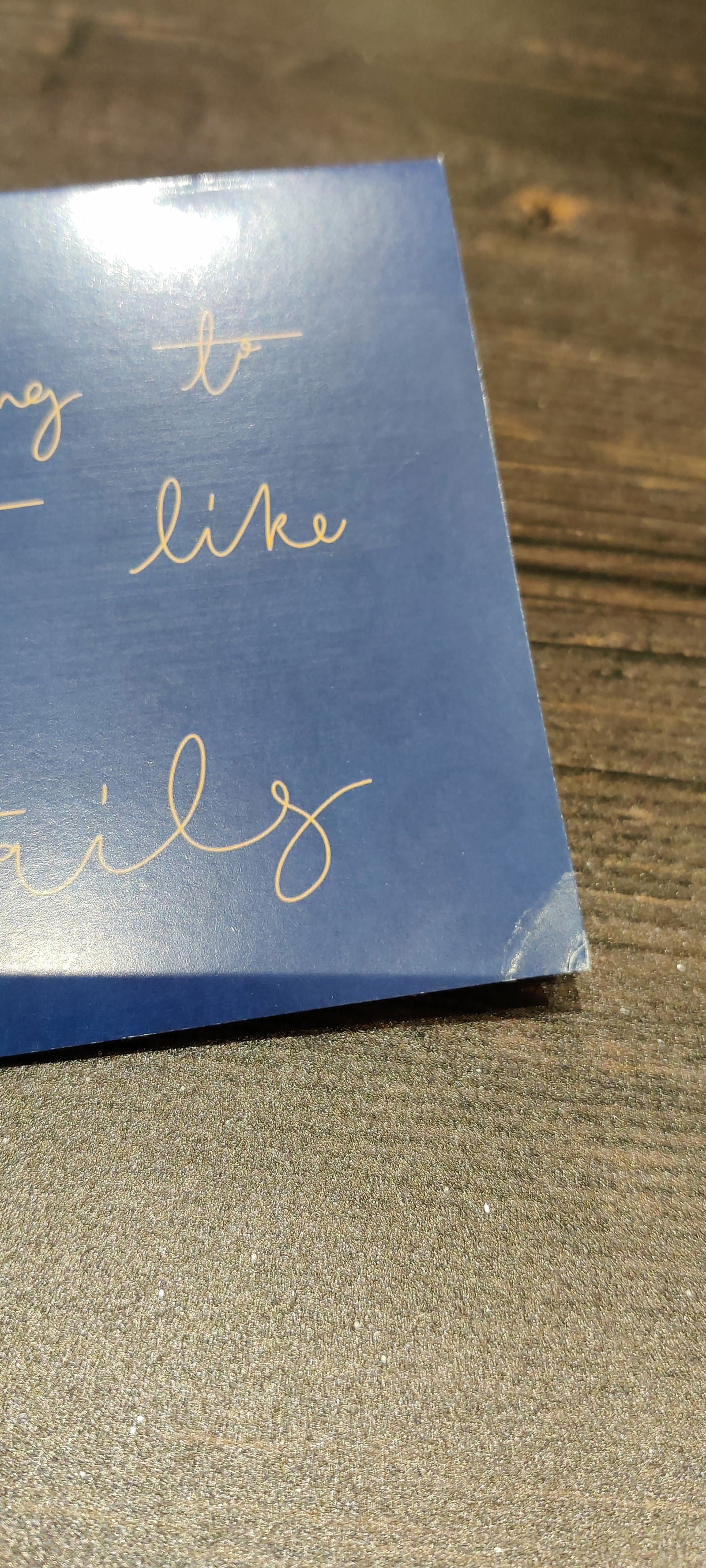 SECONDS: Its beginning to look a lot like christmas - Fay Dixon Design