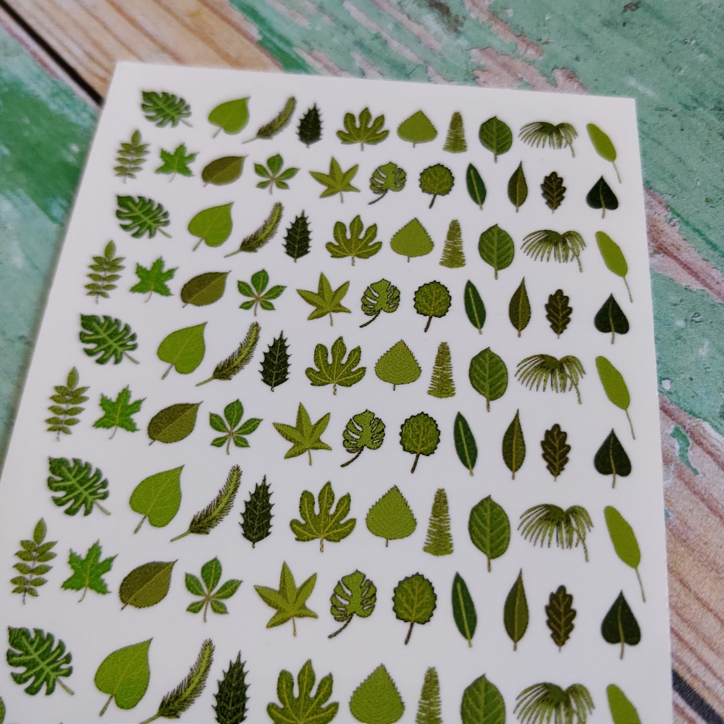 Leaves and Greenery Waterslide Nail Decals - Fay Dixon Design