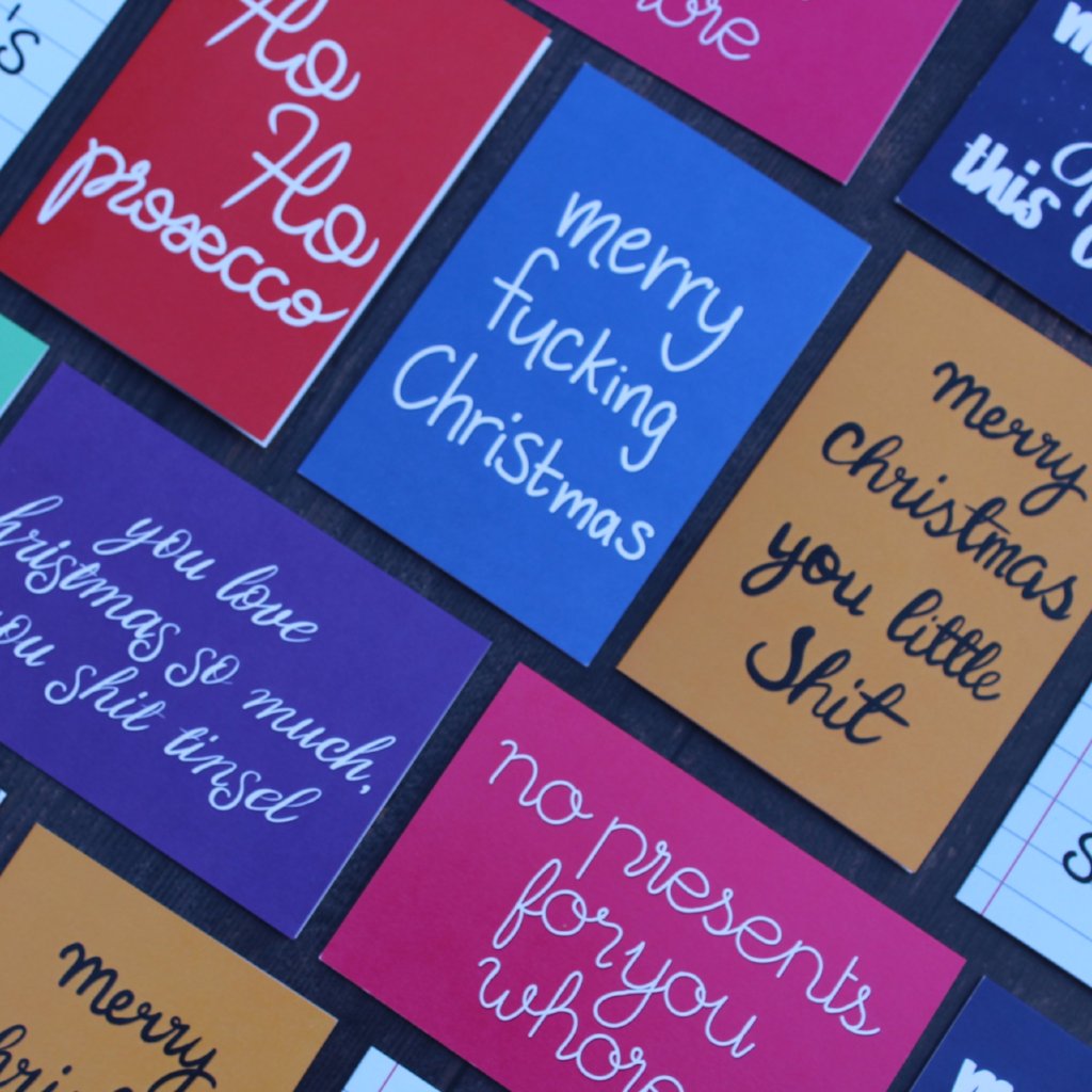 'Merry Christmas you little Shit' Christmas Card - fay-dixon-design